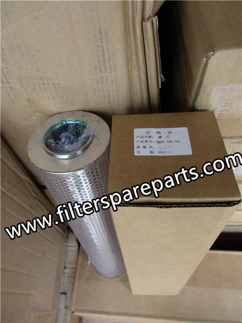 HQ25.300.15Z Harbin Steam Turbine Filter